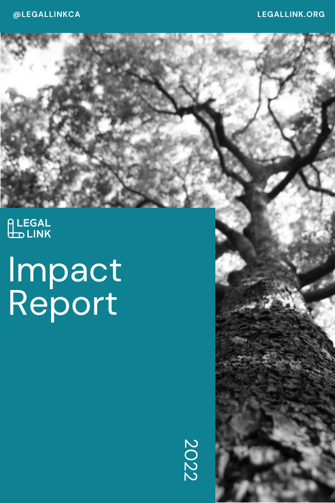 Check out our Annual Impact Report to learn more about what frontline legal navigation looks like in the communities we serve.